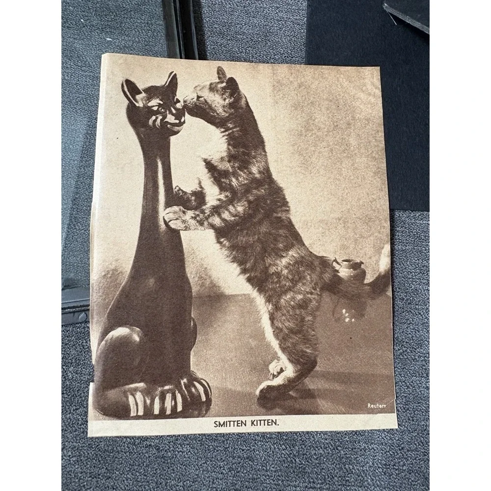 Vintage Ephemera Cat Newspaper Magazine Clipping Metal Vanity‎ Floral Framed